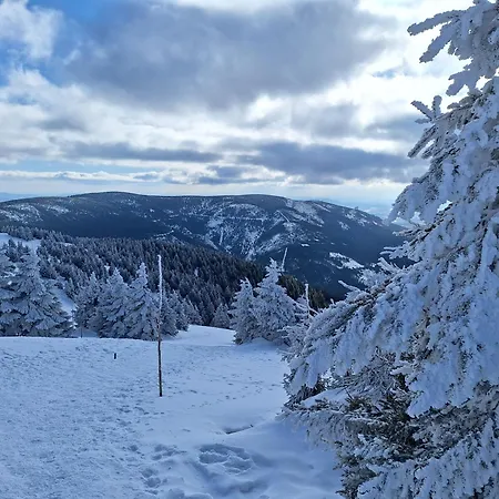 Gorskie Zacisze Kamienica Chalet Stronie Śląskie