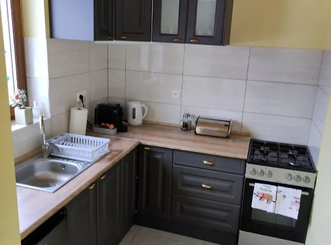 Chalet Gorskie Zacisze Kamienica Stronie Śląskie