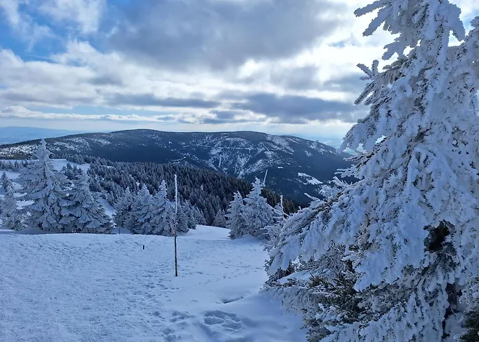 Gorskie Zacisze Kamienica Chalet Stronie Śląskie